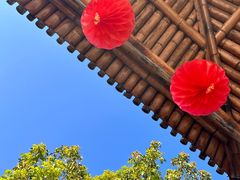 -厦门园林博览苑