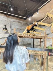 -Zoolung Zoolung动物主题公园(海信广场店)