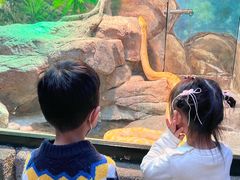 -福州罗源湾海洋世界旅游区