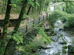 -藏龙百瀑风景区