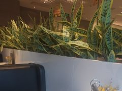 -卡朋西餐(铂顿城店)