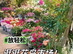 -双季花艺园艺市场(浦东店)