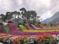 -广州市石门国家森林公园