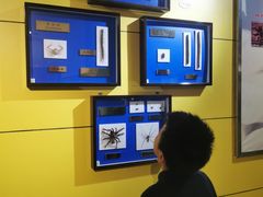 -上海昆虫博物馆