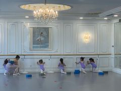 -芭蕾仙子 FairyBallet 少儿芭蕾舞蹈中心(丽都旗舰店)