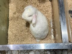 -上海大自然野生昆虫馆