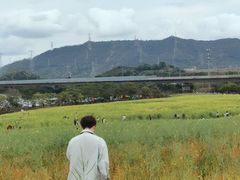-光明小镇欢乐田园