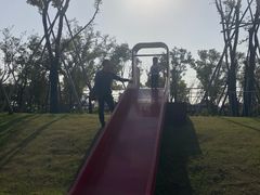 -春花秋色城市公园