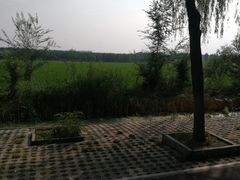 -白洋淀景区