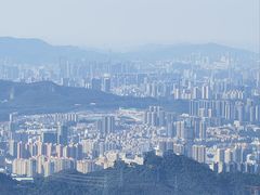 -梧桐山风景名胜区