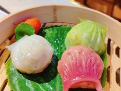 -点都德·毕德寮