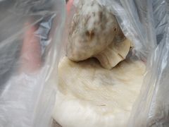 -老盛兴汤包馆(江宁一店)