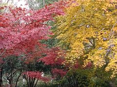 -杭州半山国家森林公园