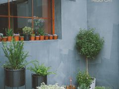 -IFIF 如果花園(宽厚里店)