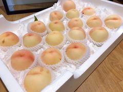 -西郊国际农产品交易中心