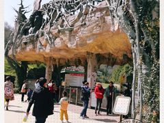 -贵州森林野生动物园
