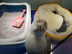 -乐宠宠物店(世纪金源店)