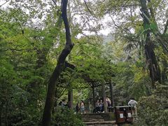 -岳麓山风景名胜区