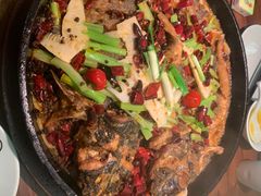 老板恋上鱼-老板恋上鱼(振华商厦店)