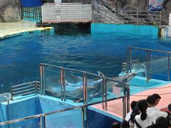 -福州罗源湾海洋世界旅游区