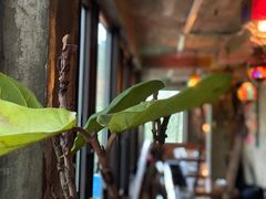 -Ginger(兴国路店)