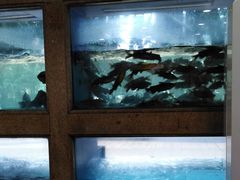 水产区-湖南人家·家传湖南菜(水围店)