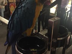 -冰城小镇音乐串吧·聚会餐厅(百子湾店)