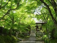 -常寂光寺