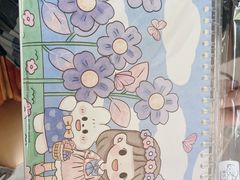 -鹏佳腾学生文创