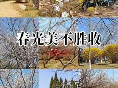 -前关湿地公园
