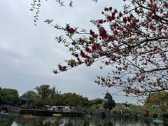 -无锡蠡湖国家湿地公园-蠡园