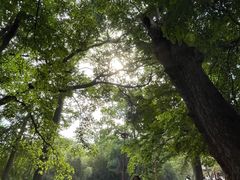 -青岛崂山太清宫