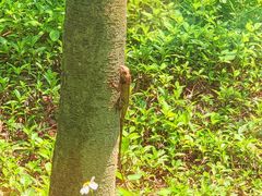 -云溪植物园