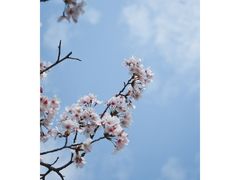 -独墅湖图书馆停车场