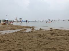 -碧海金沙