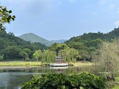 -国恩寺