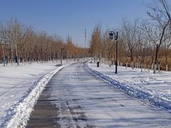 -水西公园