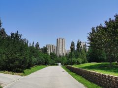 -永定河休闲森林公园