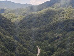 -栾川竹海野生动物园