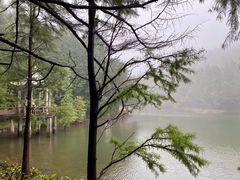 -四明山国家森林公园