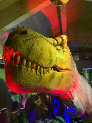 -恐龙探索乐园(磁器口店)