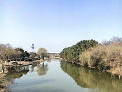 -江滩湿地公园