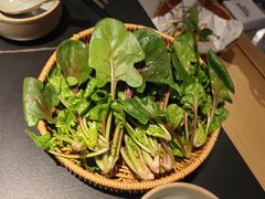 -季季山·云南野生菌火锅(上海首店)