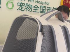 -艾吉宠物医院·疑难杂症转诊中心·猫友好(碧江路院)