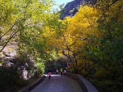 -北京上方山国家森林公园