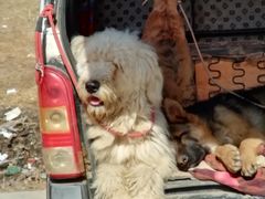 -星悦荟(正兴广场店)