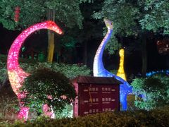 -森波拉火山温泉