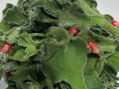 -大鹏饭店·金陵家宴(奥体中心店)