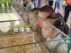 -伊顿幼儿园(天津上河雅颂校区)