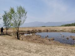 -野鸭湖国家湿地公园